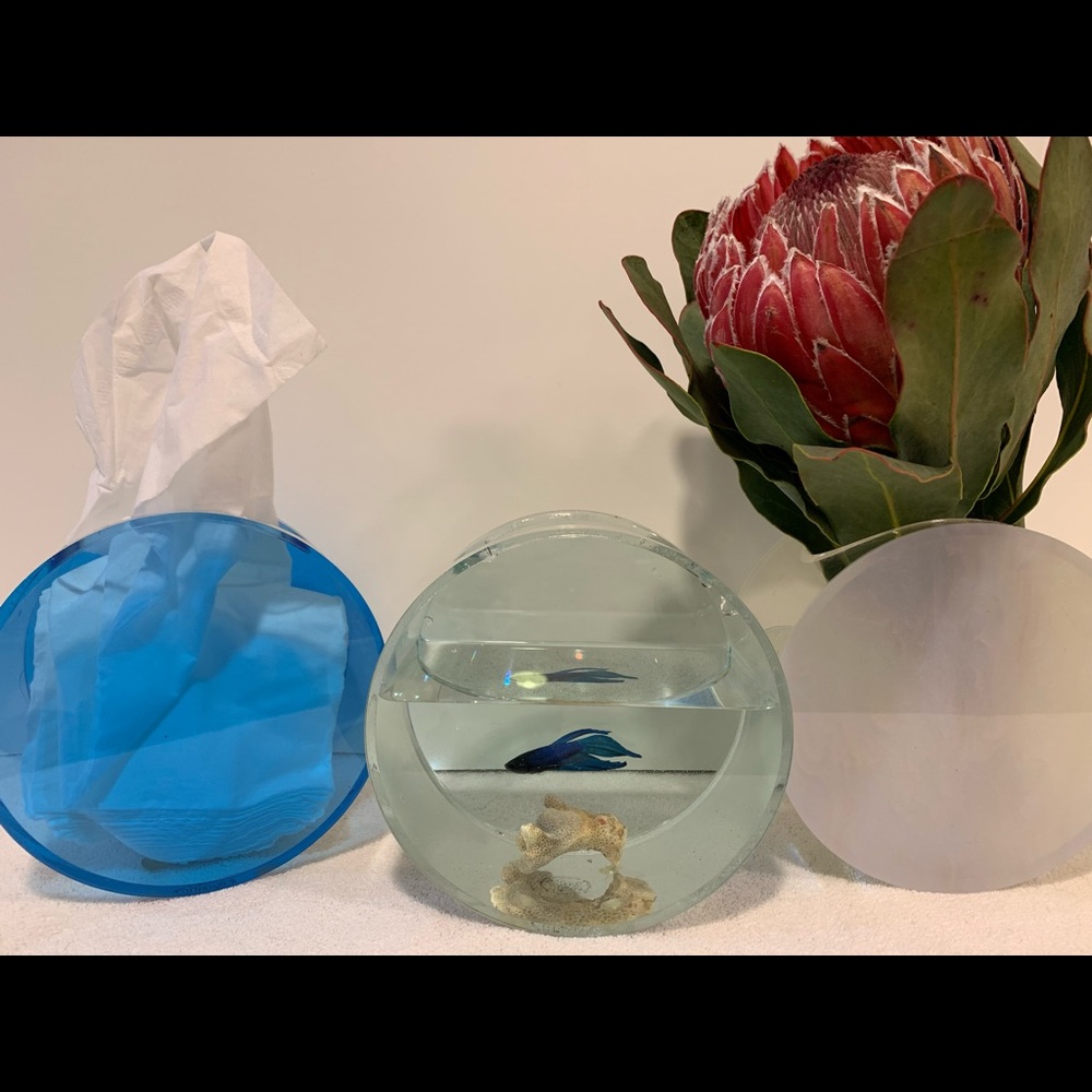 3-in-1: TISSUE HOLDER/VASE/MINI AQUARIUM
